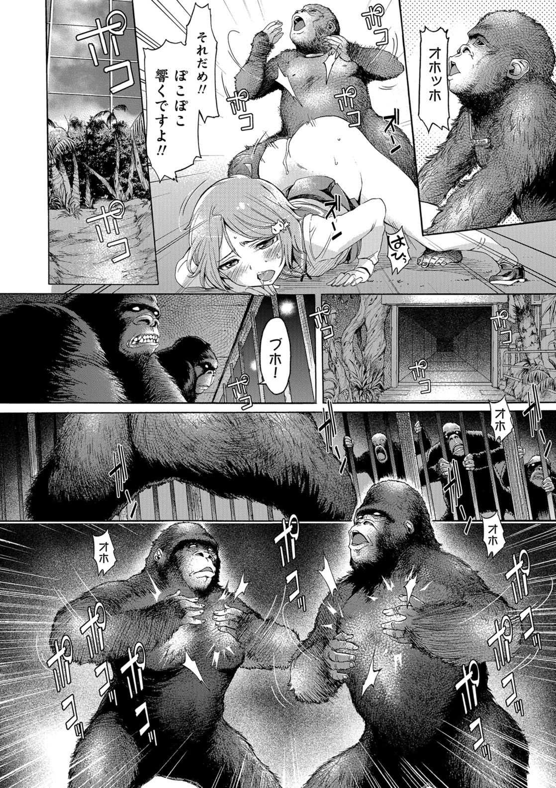 【エロ漫画】動物大好きな仲良しJK2人組…巨根に改造されたゴリラの檻に引き込まれ集団凌辱されてしまうｗｗｗ【H9:エデンの園】