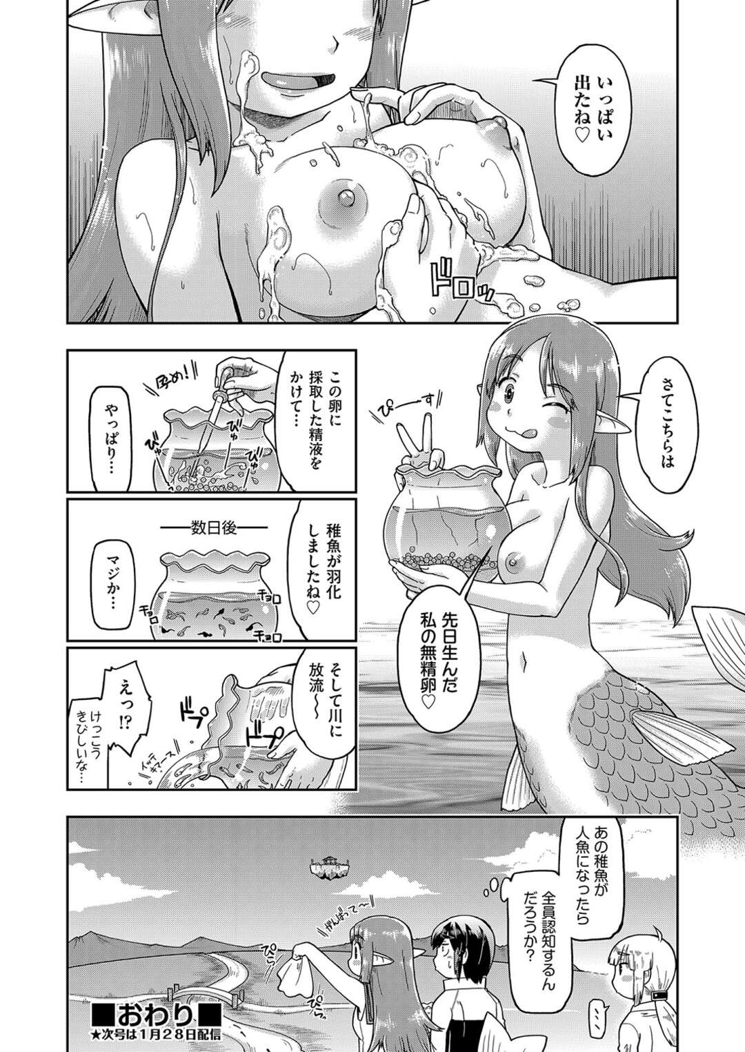 【エロ漫画】いろんな種族と子作りセックスに励む日々…人魚には股間が無いので豊満なおっぱいに勃起チンポを挟んで腰を振る！！【昭嶋しゅん：異世界に転移したらそこは異種族JCハーレムでした！】