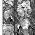 【エロ漫画】触手に飲み込まれお腹の中で犯されちゃう巨乳のお姉さん…乳首舐めや騎乗位でハメられ絶頂イキしちゃう【る〜く：丸呑みリミットブレイク】