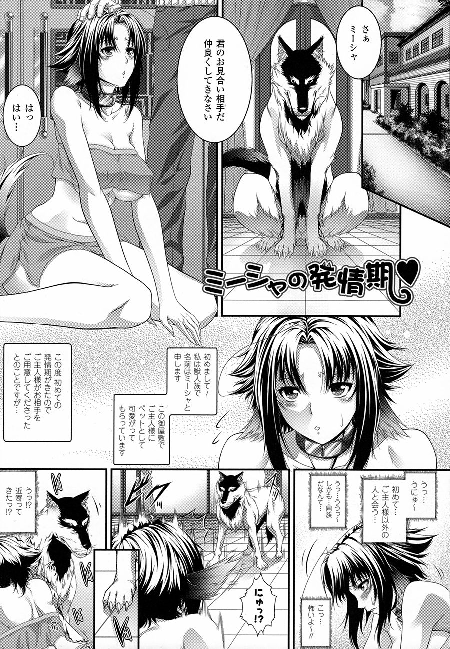 【エロ漫画】お見合い相手に選ばれた犬に犯される巨乳のお姉さん…クンニをされてバックでいきなり生ハメレイプで獣姦されちゃう【ズッキーニ：ミーシャの発情期】