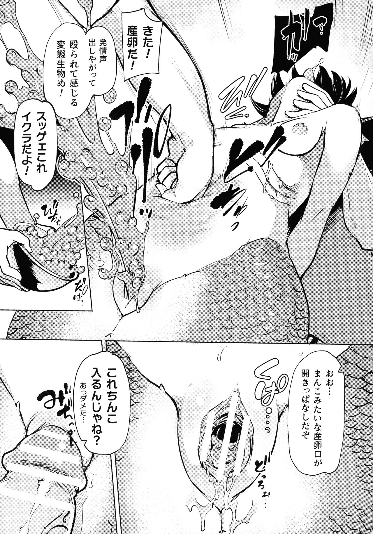 【エロ漫画】人間達に捕獲され鰓から酒を飲まされるちっパイ人魚…目が覚めたと同時に口にチンポを入れられそのまま犯される！【あおむし：人魚卵収穫】