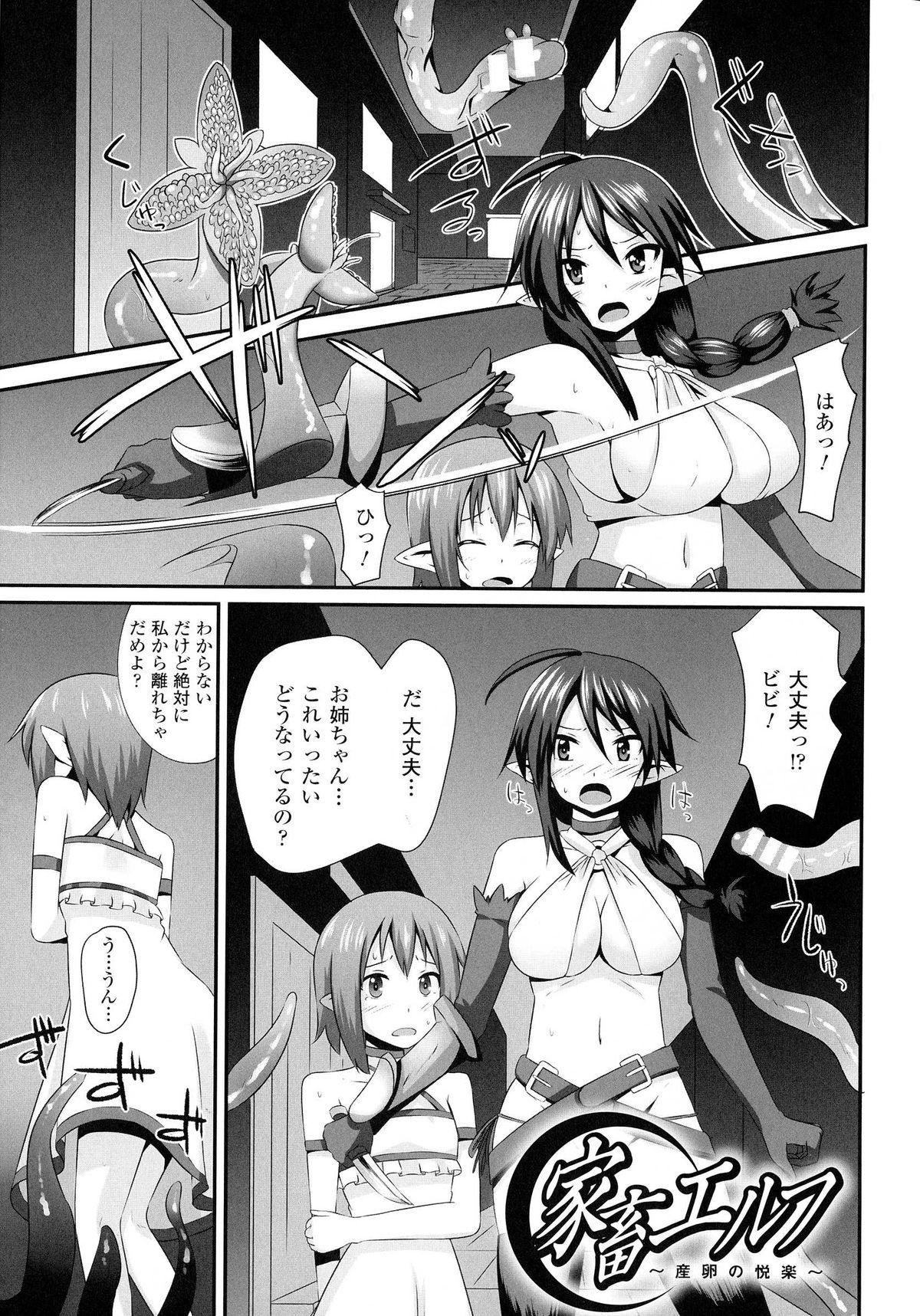 【エロ漫画】拘束されて触手責めされちゃう姉妹エルフ…２穴同時挿入で孕ませ中出しセックスで卵出産【書店院まとり：家畜エルフ】