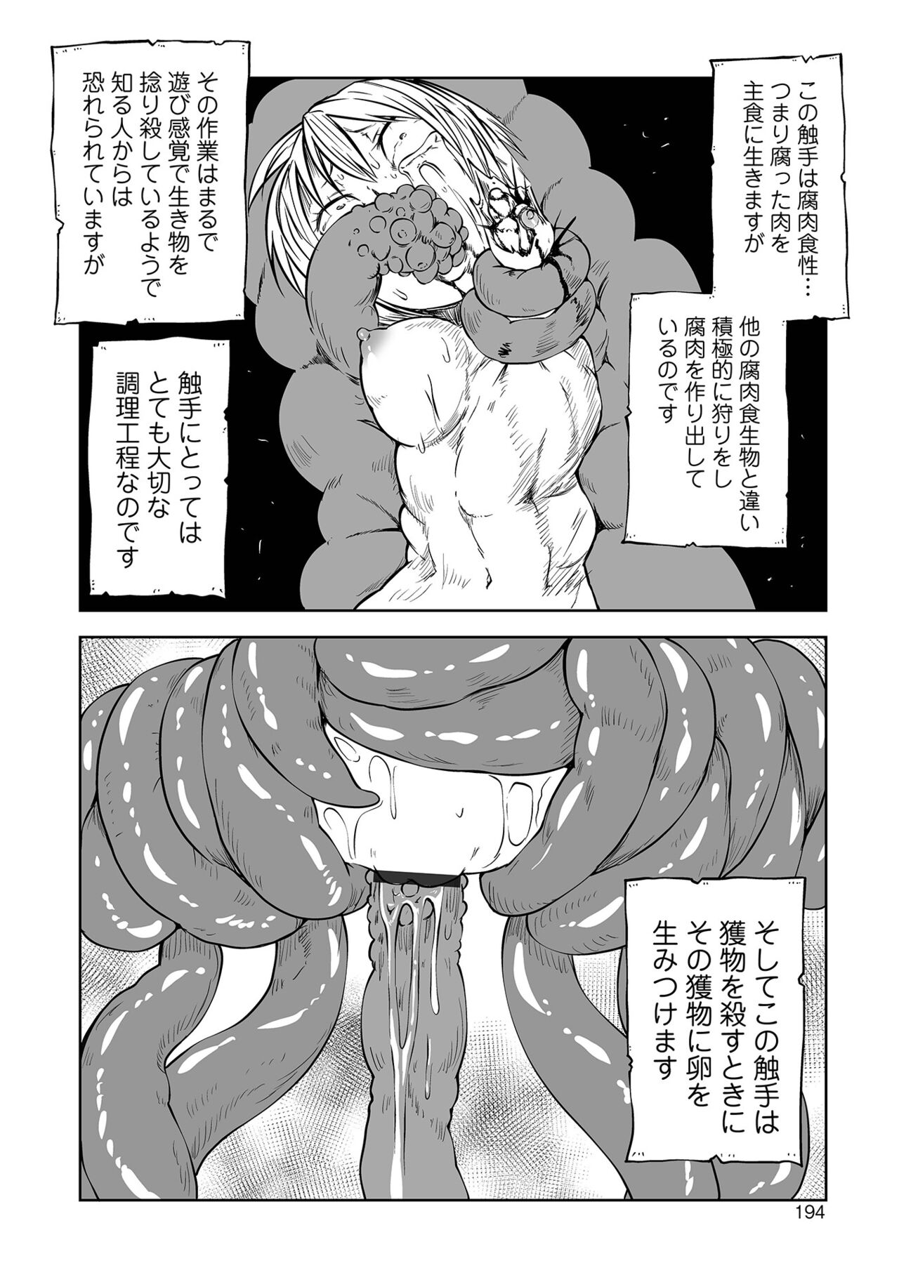 【エロ漫画】立入禁止区域の森に入り込んで触手を集めて魔女たちに売ろうとしている彼女…馬鹿にしていた矢先に拘束されてしまい触手で野外青姦異種姦レイプされてしまう【阪本KAFKA：触手のごちそう】