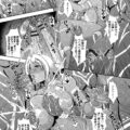 【エロ漫画】アマゾンの民族に密着取材をする巨乳レポーター…歓迎された席で渡された謎の飲み物を一気飲み！意識が遠のき目が覚めると拘束されカメラマンやディレクターもいない場所で民族との輪姦が始まる！【三船誠二郎：裸の魔境】